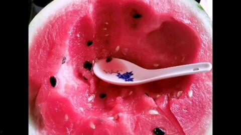 挖西瓜视频,揭秘短视频时代的趣味与智慧